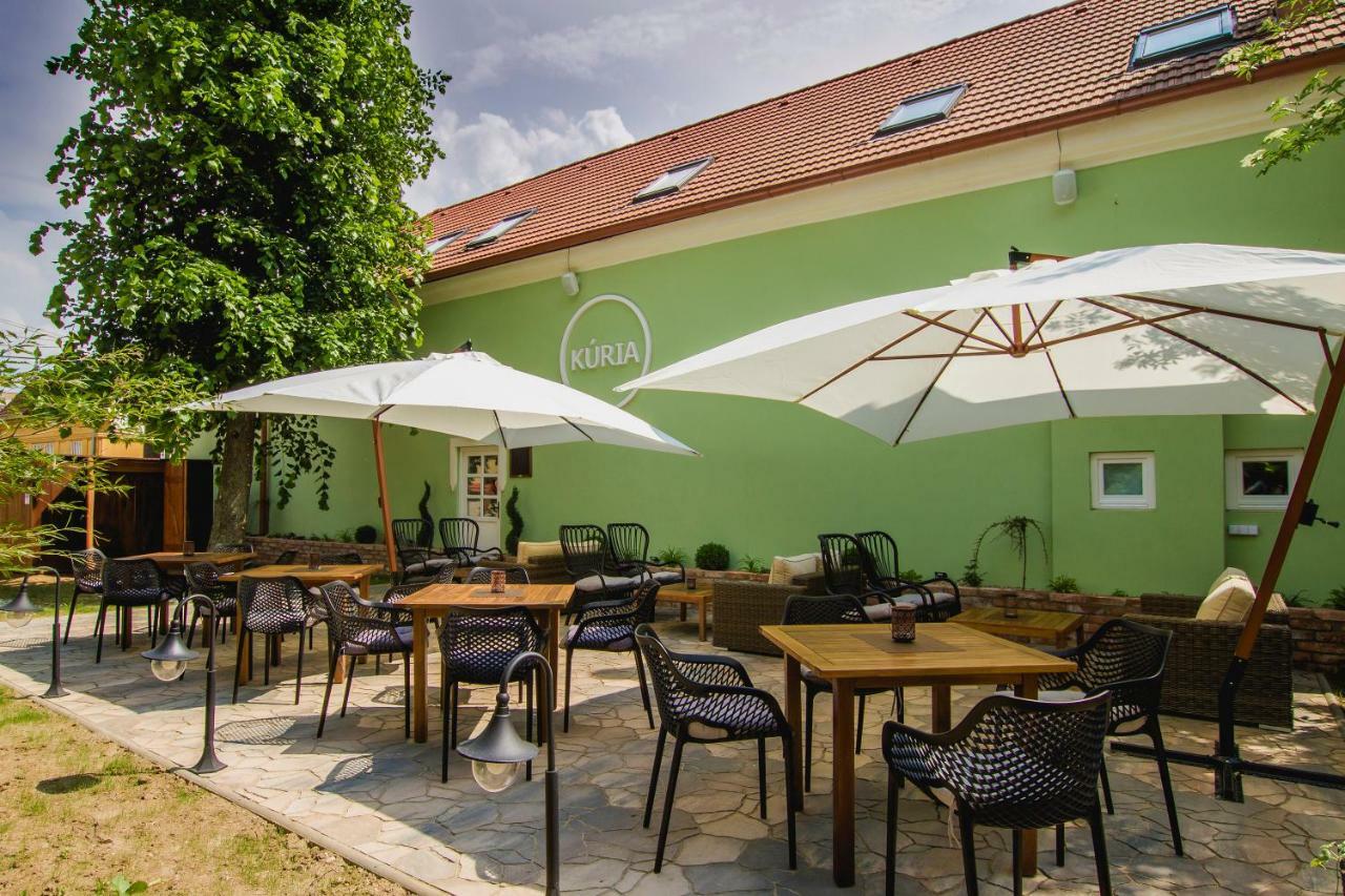 Nové Mesto nad Váhom Penzion Kuria מראה חיצוני תמונה