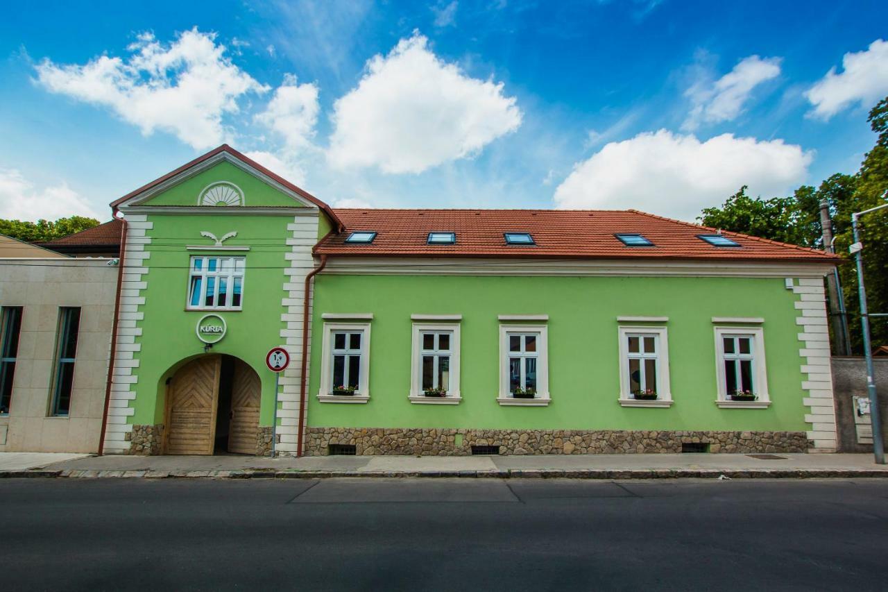Nové Mesto nad Váhom Penzion Kuria מראה חיצוני תמונה
